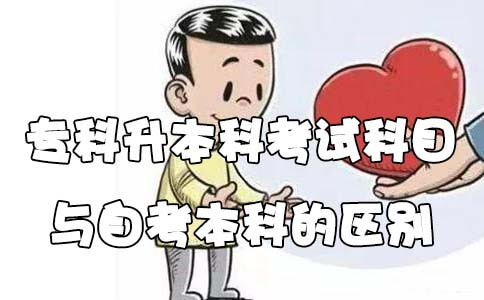 专升本与自考本科