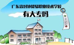 海南省对外贸易职业技术学校有大专吗